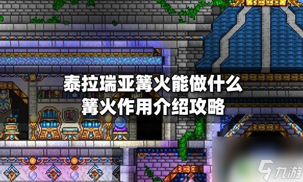 泰拉瑞亚区域火把有什么用 泰拉瑞亚篝火能做什么用途介绍攻略