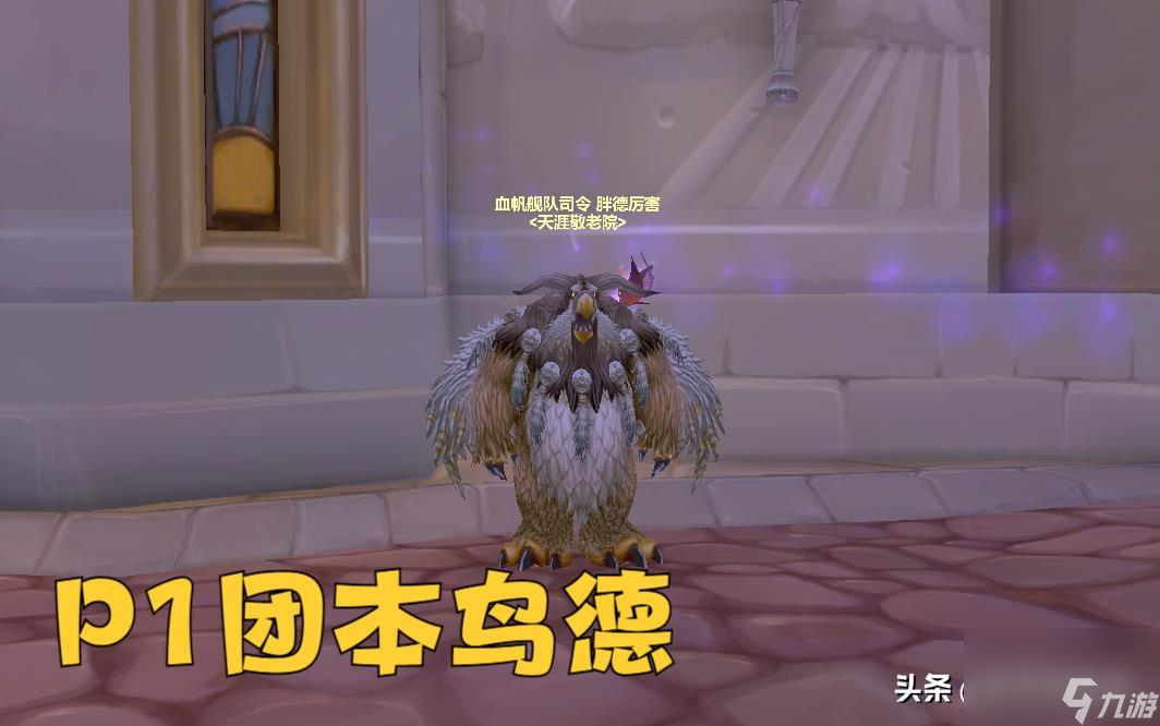 魔兽wlk鸟德强势玩法攻略（wlk鸟德常用宏分享）
