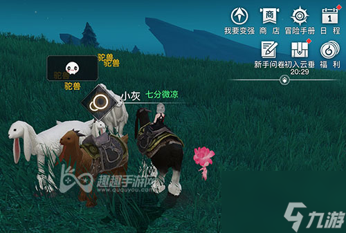 三个驼兽位置介绍 天谕手游狂暴驼兽怎么做