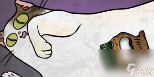 猫博物馆第二章标本馆策略