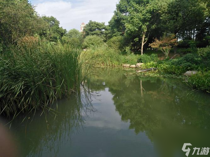 《碧湖垂钓》快速入手攻略（轻松掌握技巧，让你在游戏中爽钓大鱼）