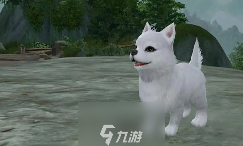 劍網(wǎng)三滄海笛奇遇怎么做-滄海笛奇遇詳細流程