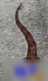 饑荒手游巨人攻略,饑荒手游：征服巨人的生存攻略