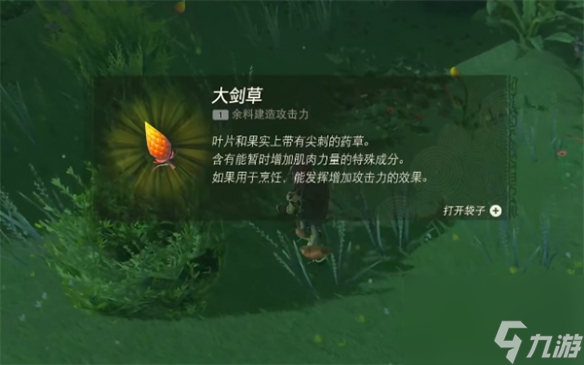塞尔达传说：王国之泪大剑草哪里买的到-大高玩秘籍