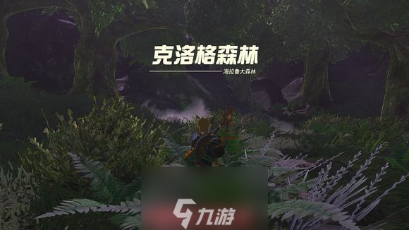 王国之泪迷途森林怎么走-迷途森林通关路线图解