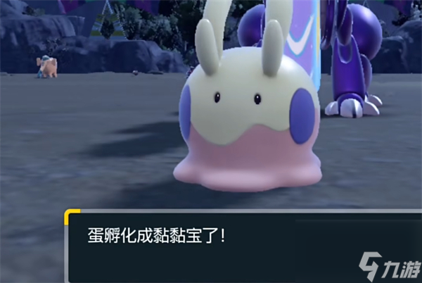 《宝可梦朱紫》小智队组队介绍
