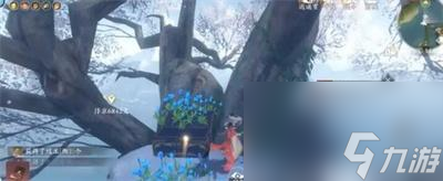 《逆水寒手游》东极岛宝箱在哪里介绍