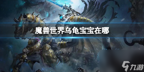 《魔兽世界》乌龟宝宝位置介绍