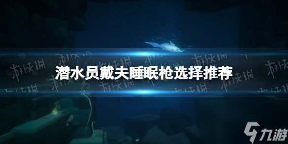 潜水员戴夫睡眠枪选择推荐-潜水员戴夫睡眠枪哪个好
