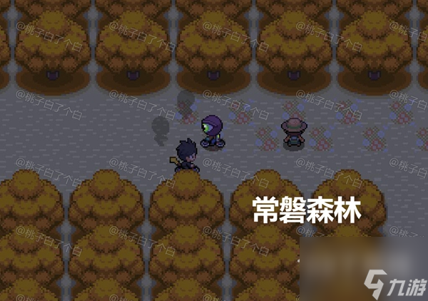 Pokemmo2023萬圣節(jié)關(guān)都區(qū)域全鬼火分布位置