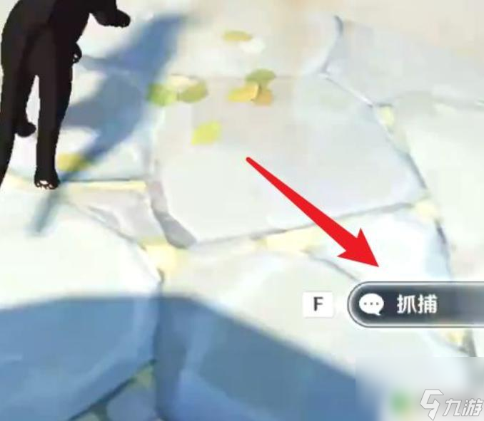原神小黑猫在哪 原神黑猫在哪里可以找到