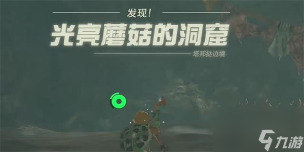 王国之泪照亮洞窟的蘑菇任务怎么做