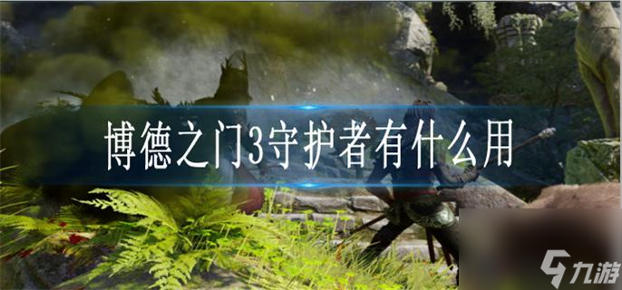 博德之门3守护者有什么用？