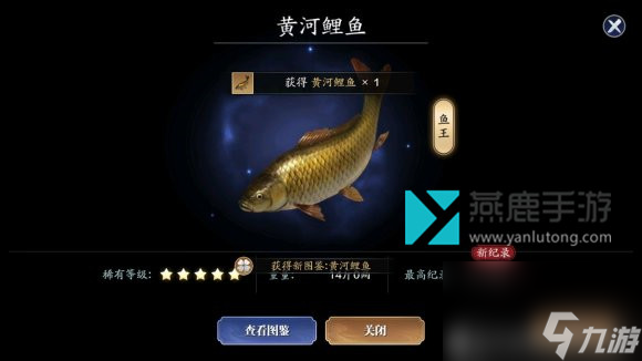 天涯明月刀手游鲤鱼在哪里钓-黄河鲤鱼刷新点分布图