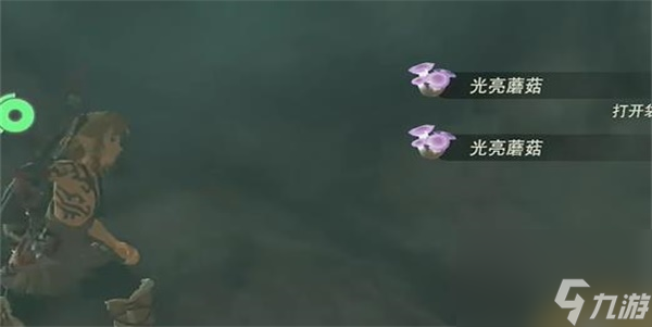 王国之泪照亮洞窟的蘑菇任务怎么做