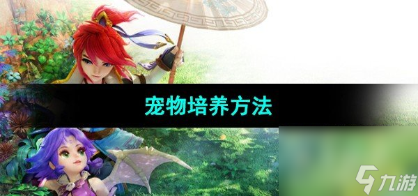 《夢幻西游》寵物培養(yǎng)方法