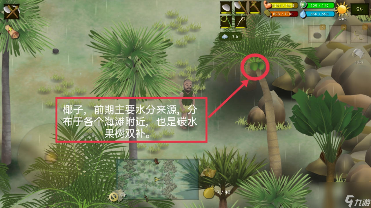 挨饿荒野：手把手教你在菲律宾海岛生存