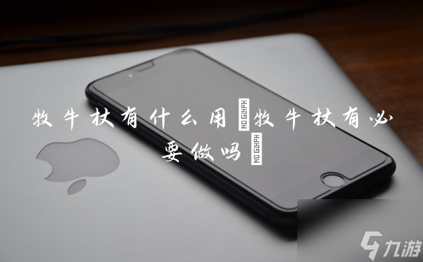 牧牛杖有什么用(牧牛杖有必要做嗎)
