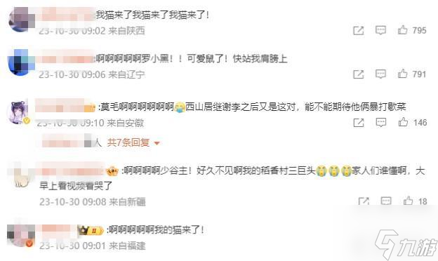 惊喜来袭！剑网玩家最期待的猫咪角色终于上线游戏啦！