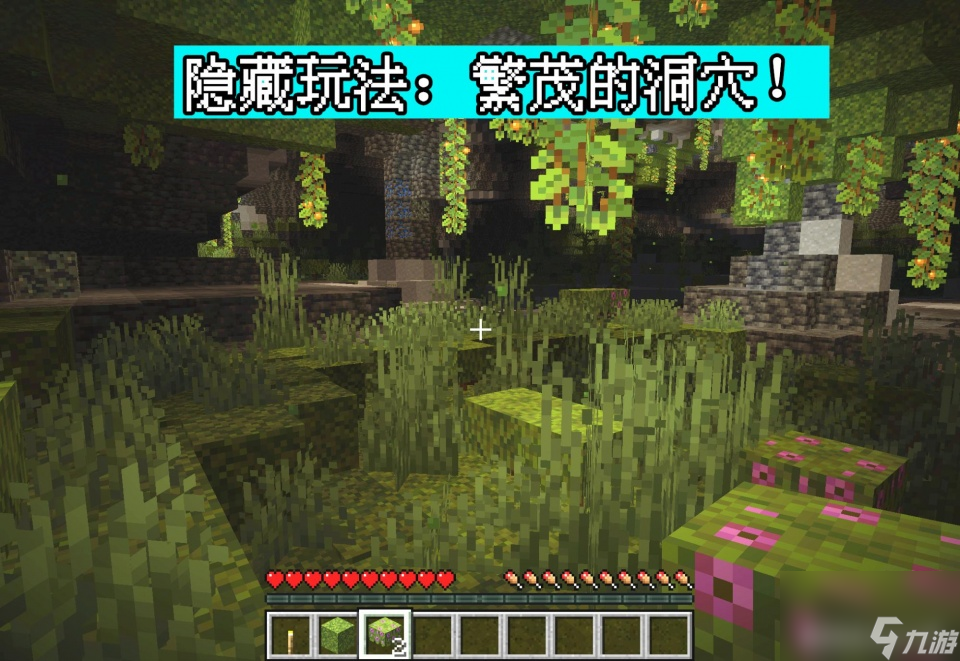 我的世界1.17洞穴更新详解：91个方块，3个新生物，1个隐