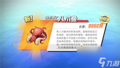所有鱼类位置汇总 航海王热血航线钓鱼图鉴攻略