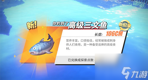 所有鱼类位置汇总 航海王热血航线钓鱼图鉴攻略