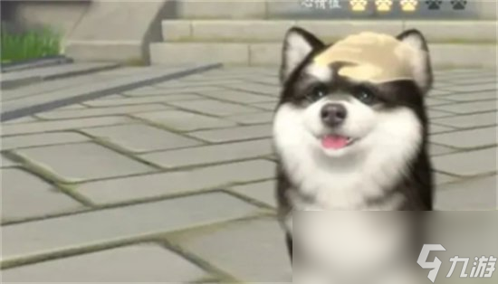 《浮生忆玲珑》奇物攻略 奇物玩法一览
