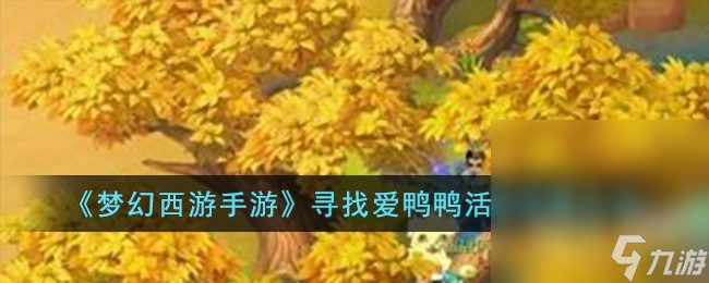 《梦幻西游》寻找爱鸭鸭活动攻略大全一览