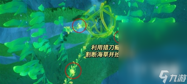原神4.1我们的目标在另一条管道任务流程攻略