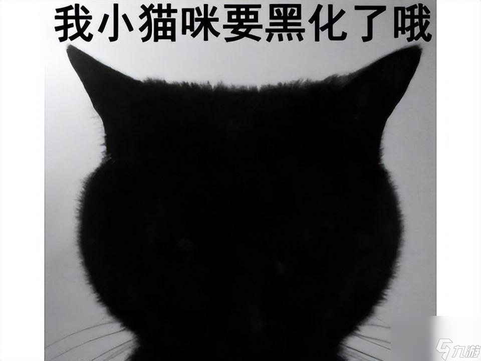 魔兽有哪些有趣的英雄故事（魔兽世界英雄被洗白）「已分享」
