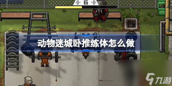 动物迷城卧推锻炼方法截图