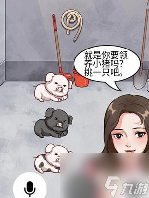 《就挺禿然的》認(rèn)養(yǎng)一頭豬怎么玩