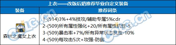 DNF奶职业自定义上衣属性选择