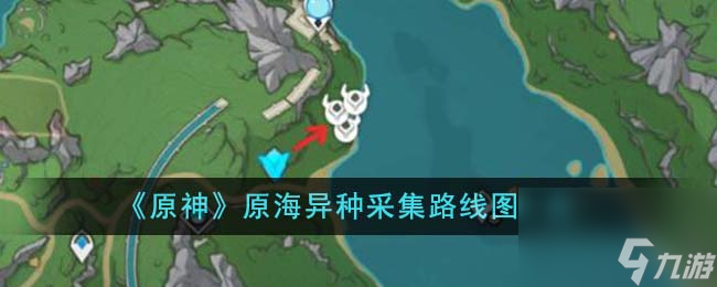 原神原海异种采集路线图是什么-原海异种采集路线图一览