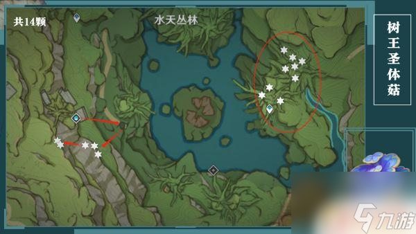 原神树王圣菇位置 原神树王圣体菇全采集图示位置