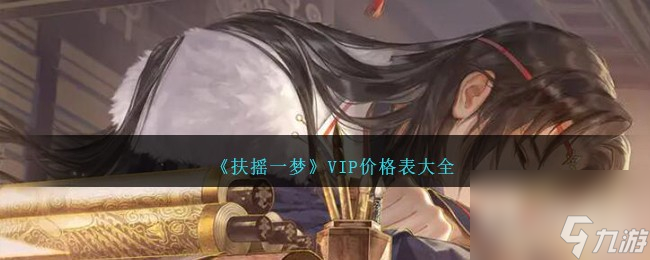 扶搖一夢VIP價格表介紹