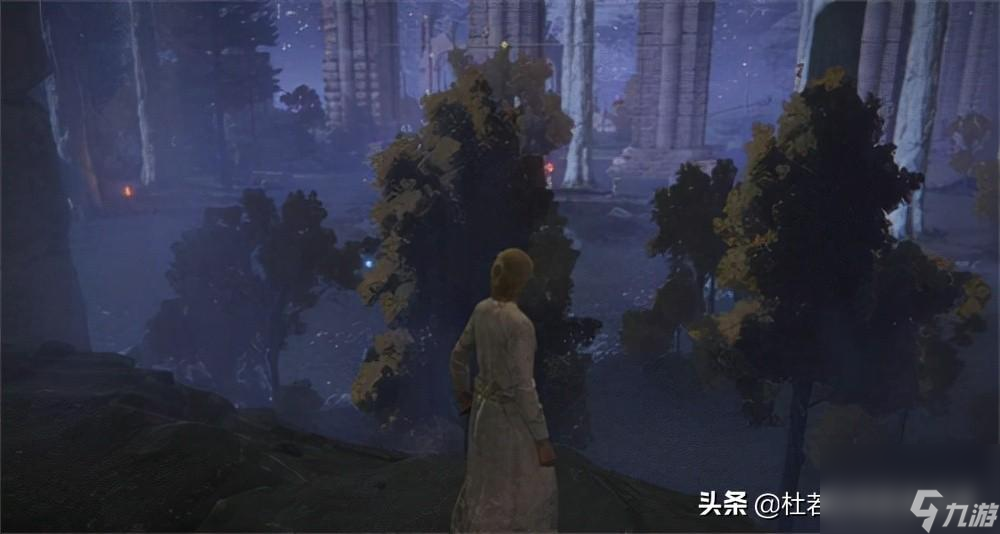 艾尔登法环洗点教程（艾尔登法环环泪滴幼体获取攻略）