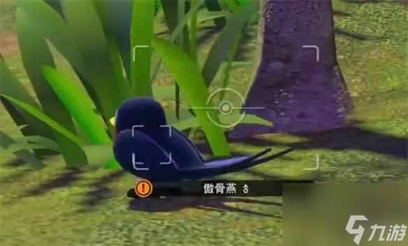 《寶可夢朱紫》隨樂拍介紹