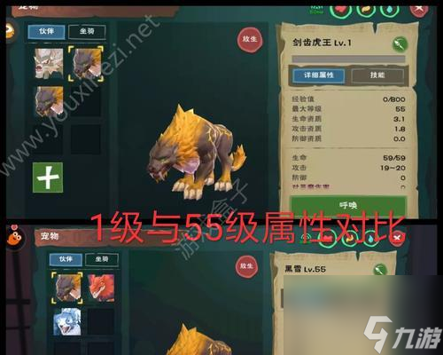 《以创造与魔法手游宠物进化》（创造属于你的强大宠物，一起战斗吧！）