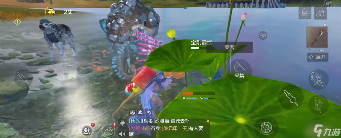 妄想山海芙蓉在哪采集