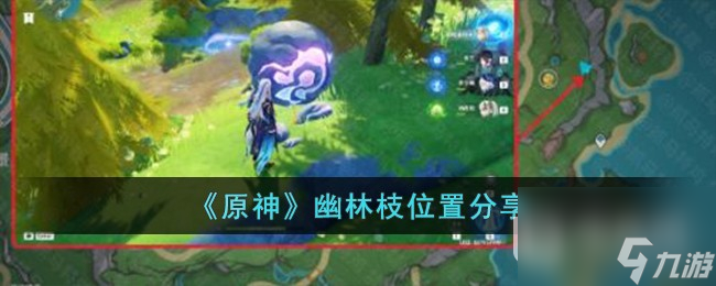 原神幽林枝在哪