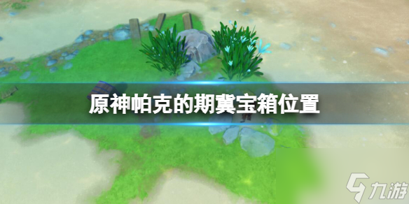 《原神》帕克的期冀宝箱位置
