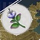 原神各角色突破材料 原神角色突破材料表下载