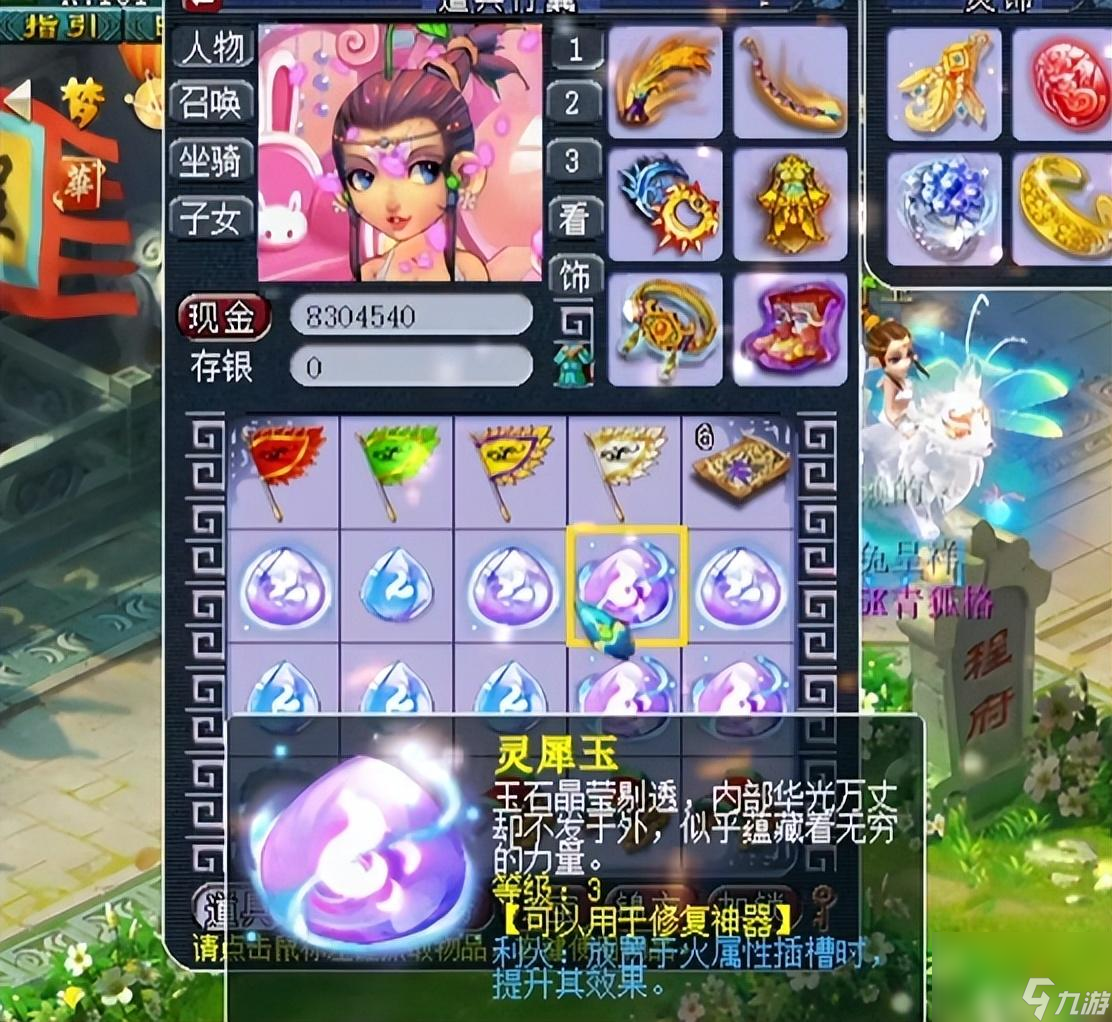 梦幻坐骑装饰加多少速度（坐骑装饰的种类与作用）