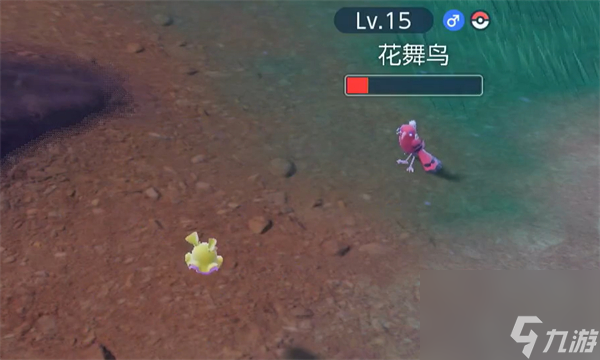 《宝可梦朱紫》花舞鸟进化介绍