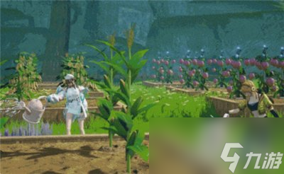 创造吧我们的星球社交玩法有哪些 三大玩法介绍