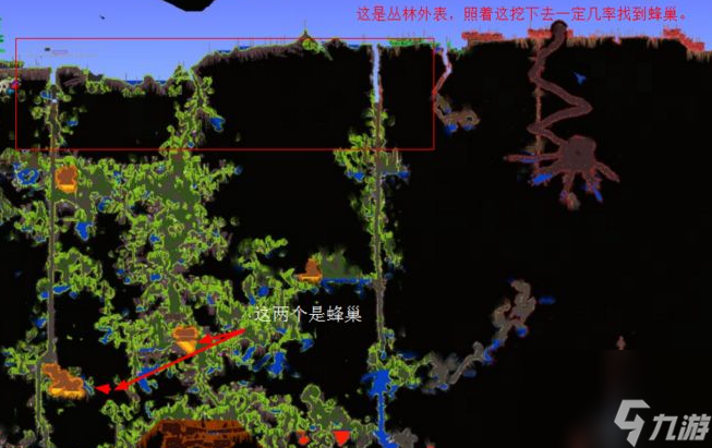 泰拉瑞亚蜂王在哪？_泰拉瑞亚蜂王召唤