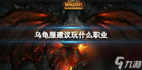 魔兽世界乌龟服推荐职业介绍