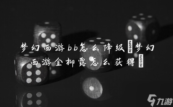 夢幻西游bb怎么降級(夢幻西游金柳露怎么獲得)