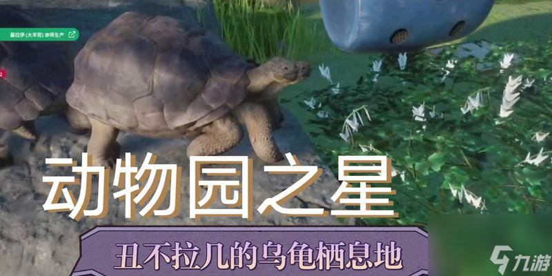 如何輕松操作視角轉(zhuǎn)換，探索更大的動物園之星世界（如何輕松操作視角轉(zhuǎn)換，探索更大的動物園之星世界）